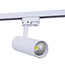 1 Fase Rail Spot 10w, 820 Lumen, CCT-Switch (3000K/4000K/6000K), CRI90, Incl. UGR Filter, Witkleurige behuizing, 3 Jaar Garantie