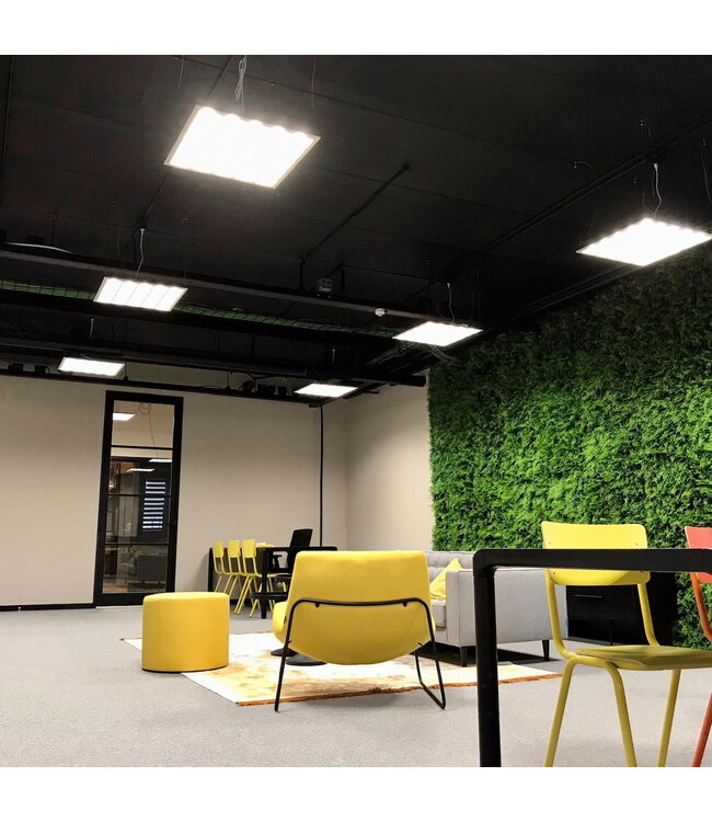 GRILL LED Paneel 60x60cm, Power switch 15-36W, 2250-5040 Lumen (140-150lm/w), UGR<16, 5 Jaar Garantie