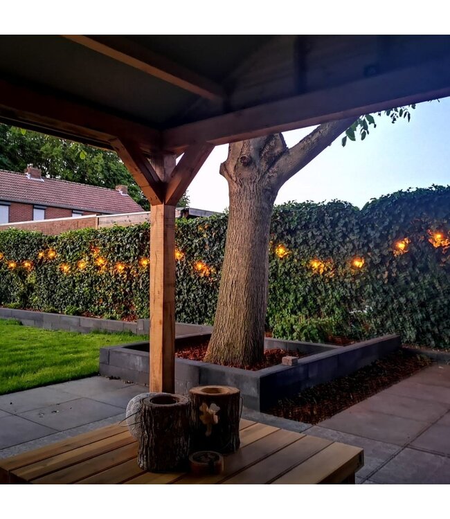 E27 1w Filament Bol Lamp, 40 Lumen, Transparante Kap, 2200K Flame