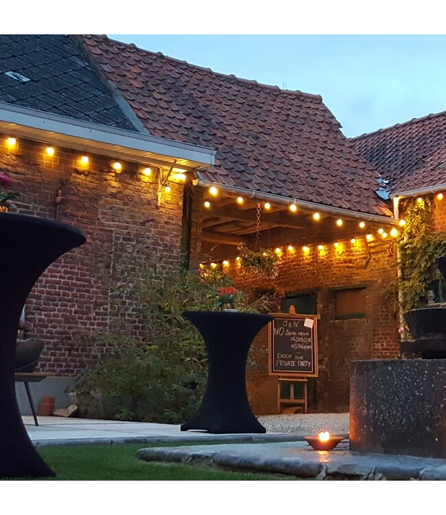 E27 1w Filament Bol Lamp, 40 Lumen, Transparante Kap, 2200K Flame