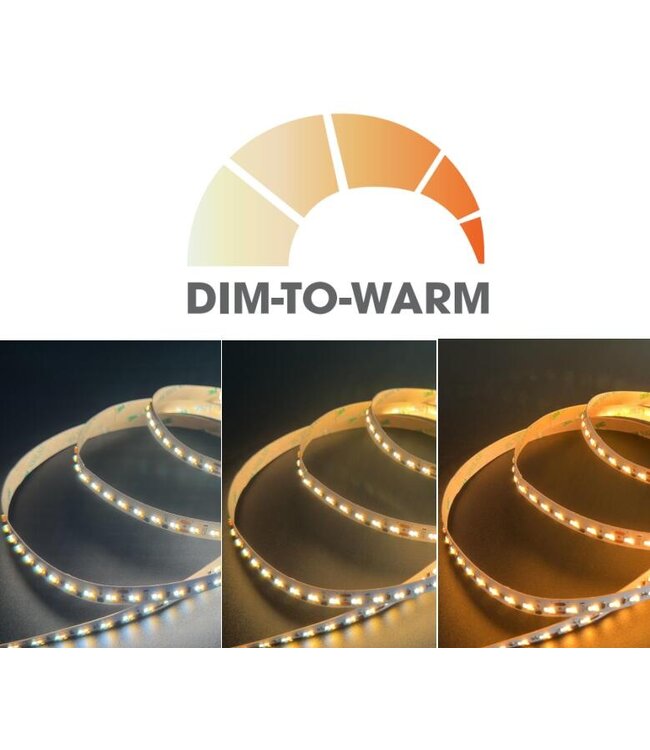 Premium Led Strip ROL 5 Meter SMD, 17w/m, 1600 Lm/M, 120 led/m, Dim To Warm (3000K>2000K), CRI90, 24v, IP20, 10mm, 3 Jaar garantie