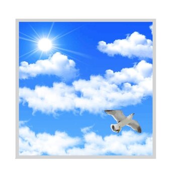 Led Paneel 120x120cm