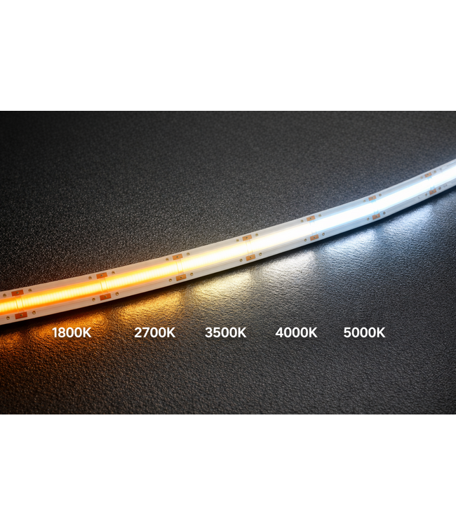 Premium Led Strip COB CCT ROL 5 Meter, 16w/m, 640 led/m, 420Lm/m, CCT (1800K tot 5000K), 24v, IP20, CRI90, 10mm, 3 Jaar garantie