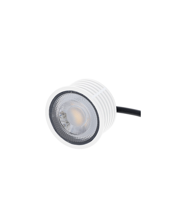 LED Module 5w WIT, 350 Lumen, Dim To Warm (3000>2000K), Dimbaar, 230v, Lichthoek: 38°, Incl. Lasdoos, 2 Jaar Garantie