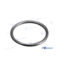 Goldenship Spare O-ring for water filter