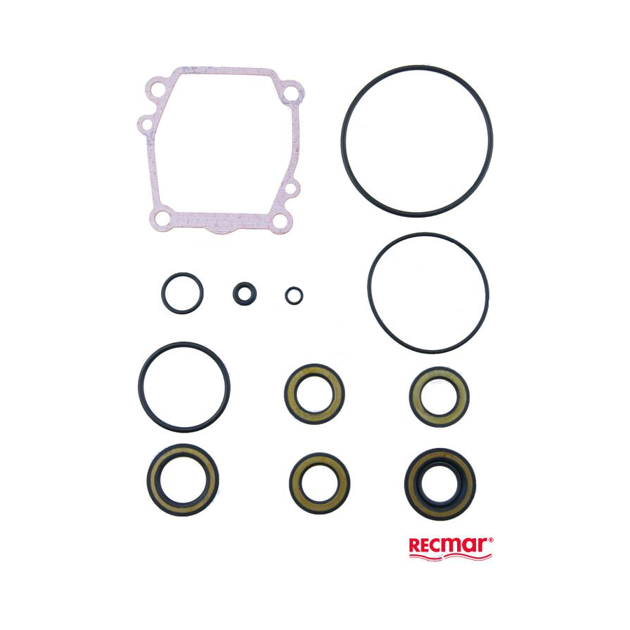Johnson / Evinrude Lower Unit Seal Kit (REC2570087E00) Allesmarine.nl