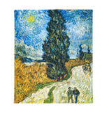 Lens cloth Van Gogh Country road in Provence by night