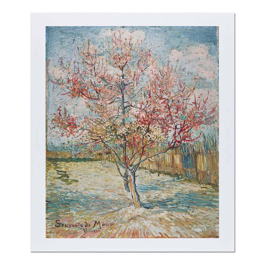 Reproduction Van Gogh Pink peach trees ('Souvenir de Mauve')