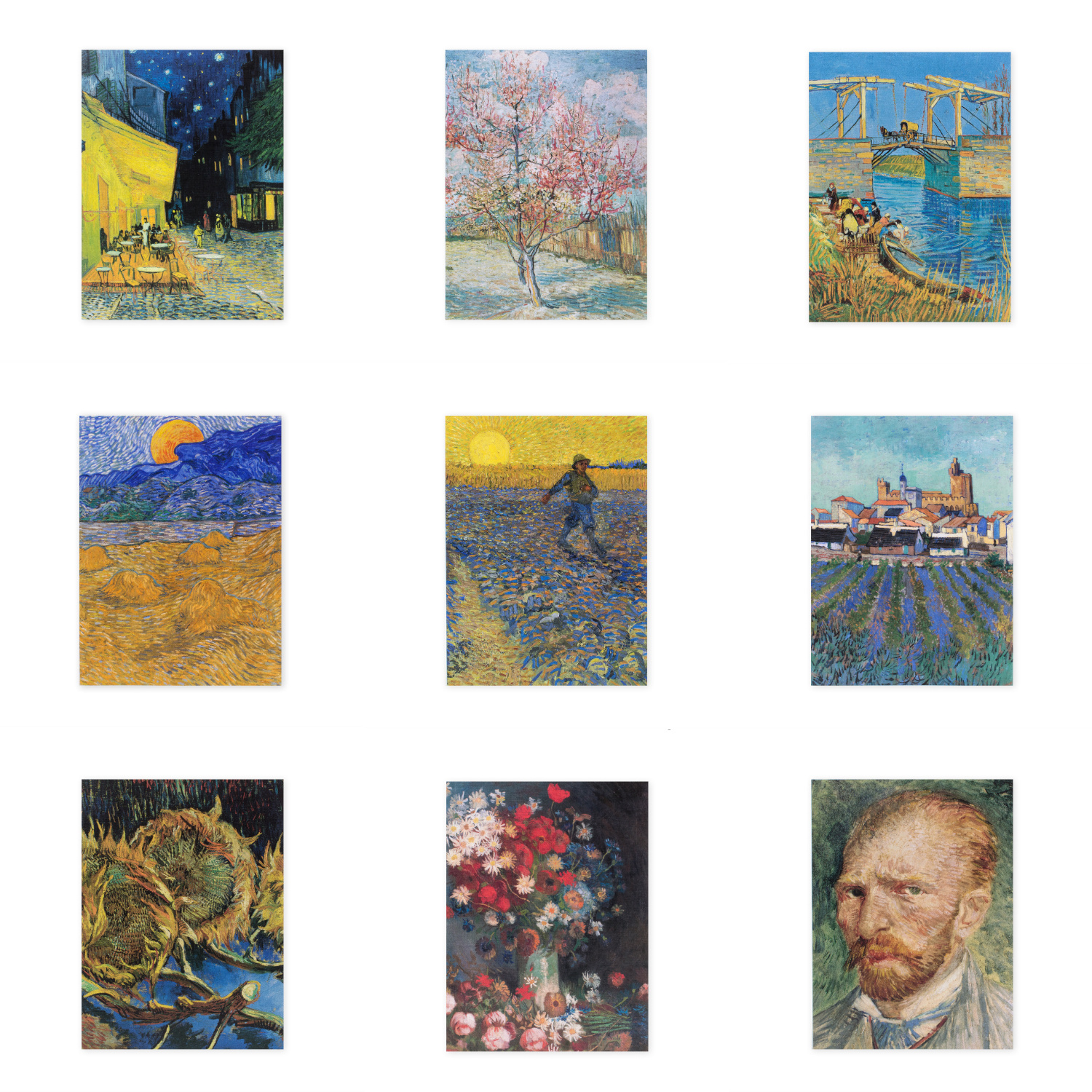 Schrift Van Gogh Stilleven met akkerbloemen en rozen