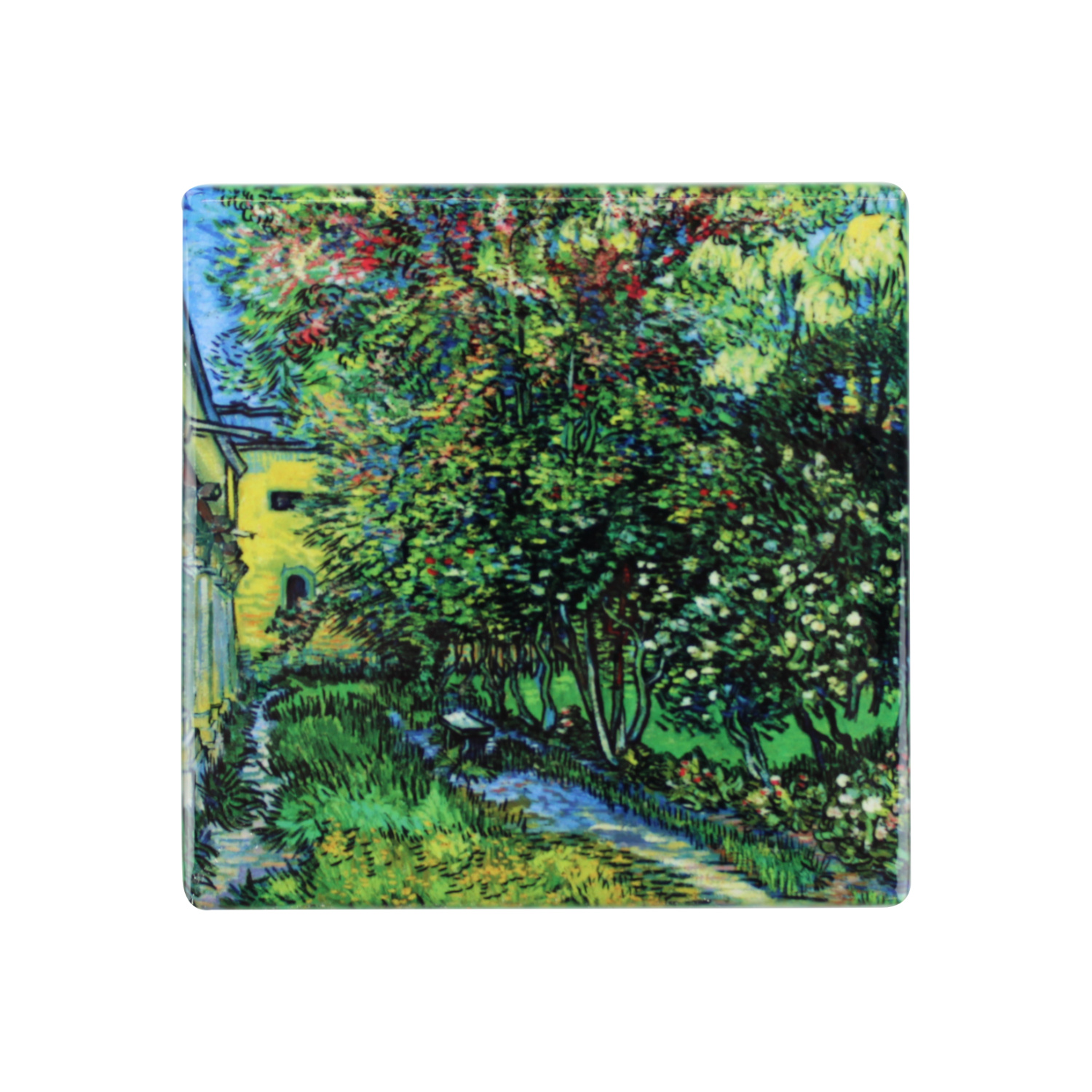 Tegel Van Gogh De tuin van de inrichting in Saint-Rémy