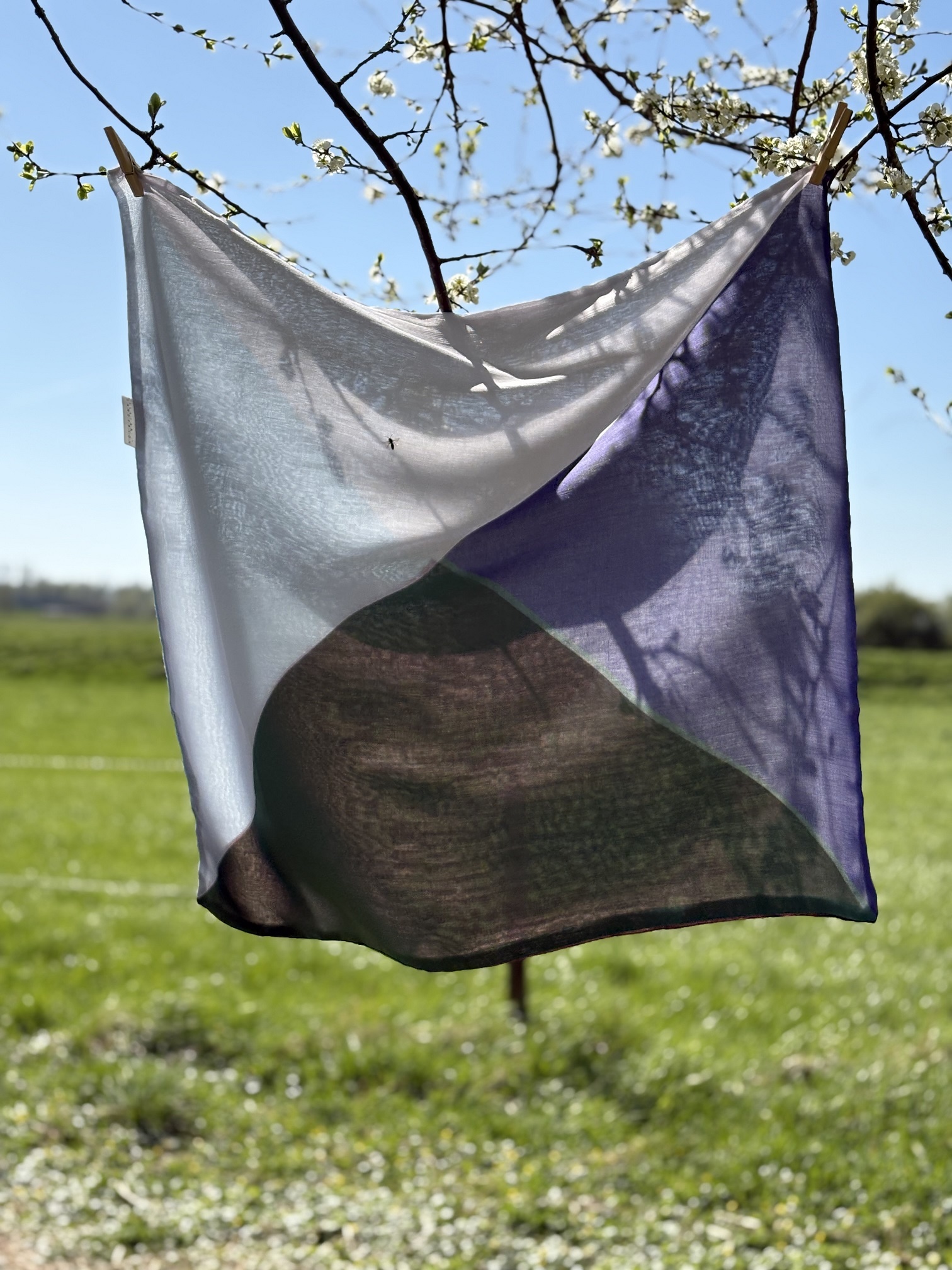 Sqarf Charley Toorop