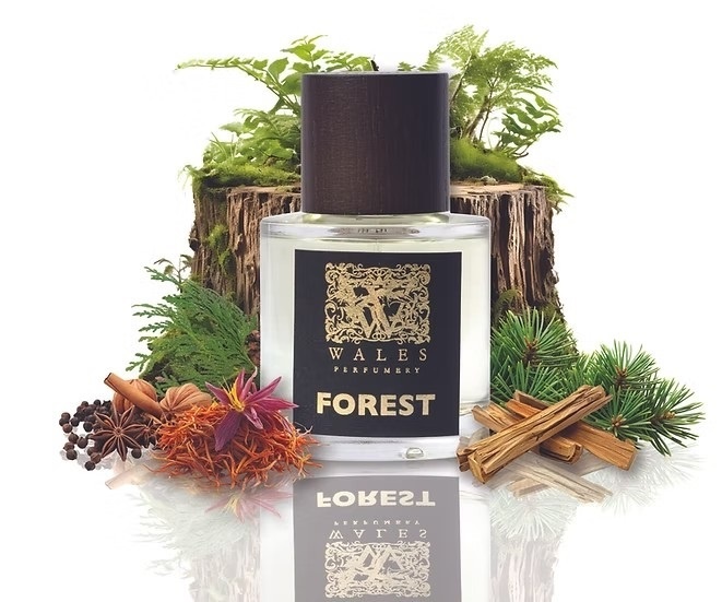 Parfum Forest