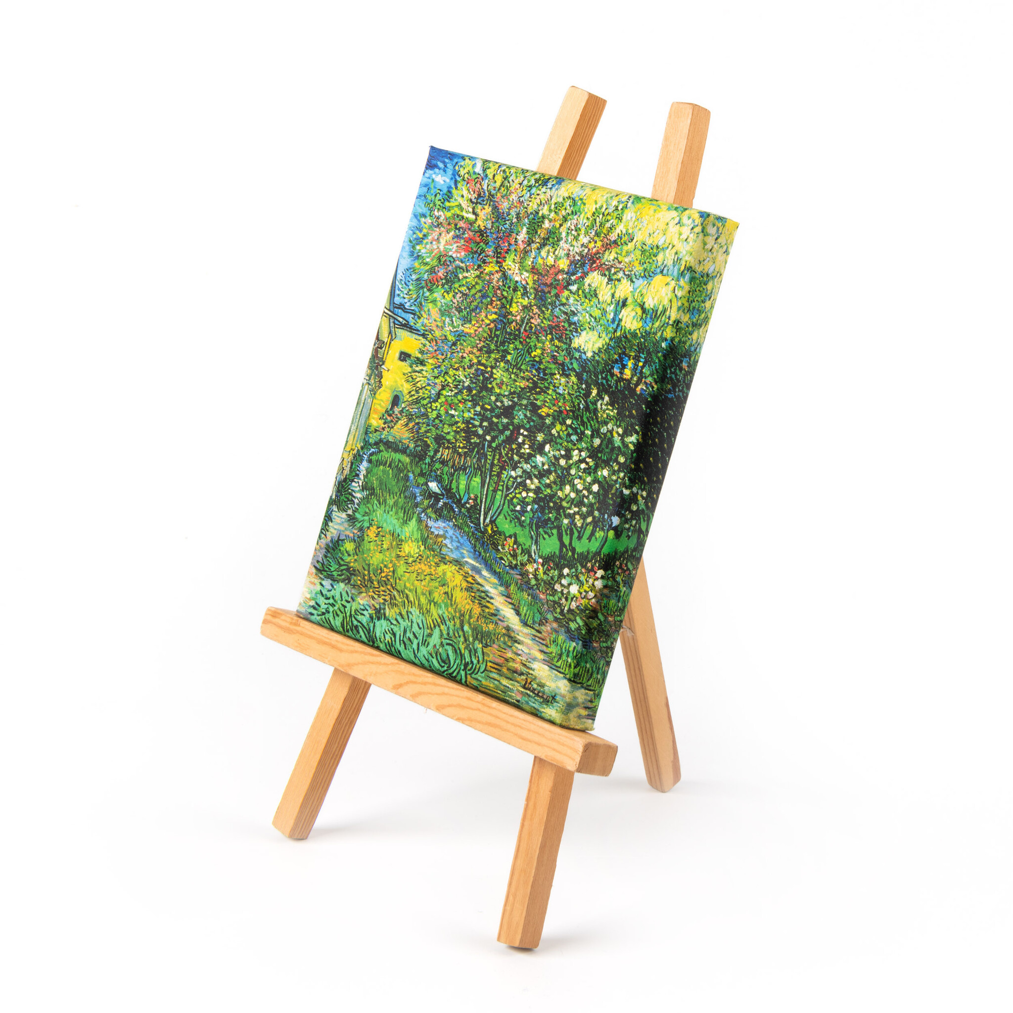 Mini canvas | The garden of the asylum at Saint-Rémy