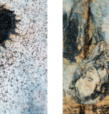 Anselm Kiefer. Sag mir wo die blumen sind