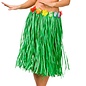 Hawaii rok groen