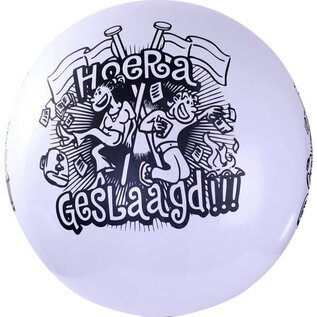 Mega ballon geslaagd 90cm