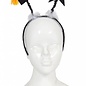 Diadeem geslaagd graduate