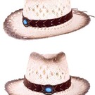 Cowboyhoed luxe met band en steen