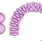 Ballonboog folieballonnen hart Roze