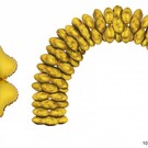 Ballonboog folieballonnen hart Goud