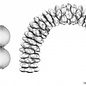 Ballonboog folieballonnen rond Zilver