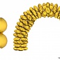 Ballonboog folieballonnen rond Goud