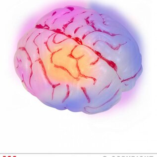 Halloween Menselijke hersenen met licht voor Halloween