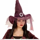 Halloween Paarse heksenhoeden met sluier