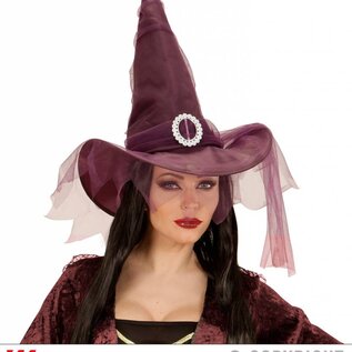 Halloween Paarse heksenhoeden met tule sluier