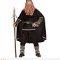 Nieuw2015-2016 Stoere Vikingpakken voor mannen voor carnaval