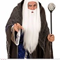 Nieuw2015-2016 Witte Merlijn de tovenaars baarden