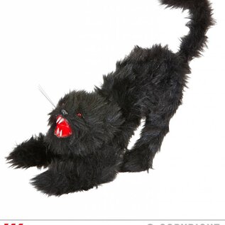 Halloween Kater met geluid en oplichtend ogen