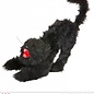 Halloween Kater met geluid en oplichtend ogen