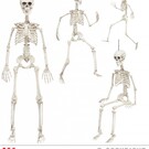Halloween Vormbaar skelet