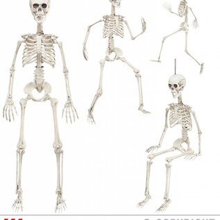 Halloween Skeletten die je zelf kunt buigen