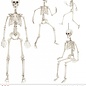 Halloween Skeletten die je zelf kunt buigen