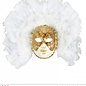 Nieuw2015-2016 Venetiaans verenmasker met witte veren
