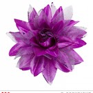 Nieuw2015-2016 Paarse bloemen haarclip met glitters