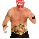 Nieuw2015-2016 Rode Freefighter maskers