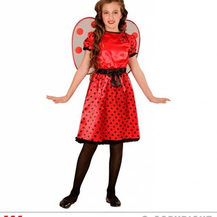 Nieuw2015-2016 Schattige lieveheersbeestjes jurkjes voor kids voor carnaval