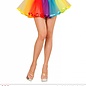 Nieuw2015-2016 Tutu in regenboog kleuren