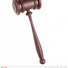 Nieuw2015-2016 Hamer van rechter