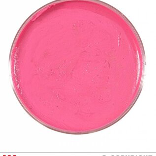 Nieuw2015-2016 Roze schmink 25 gram in een doosje voor carnaval