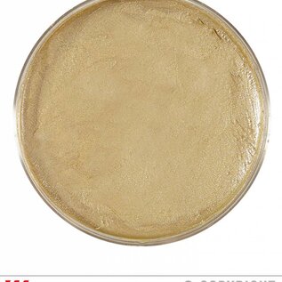 Nieuw2015-2016 Gouden schmink 25 gram in een doosje voor carnaval