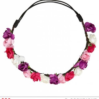 Nieuw2015-2016 Volle haarband Elsie met bloemen