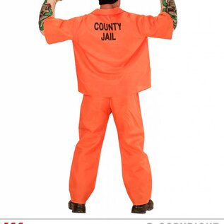 Nieuw2015-2016 Gevangenen inmate county met tatoo's
