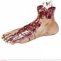 Halloween Voet bebloed van mens 25cm