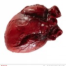 Halloween Menselijk hart bebloed