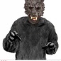 Halloween Wolvenmasker zonder kin voor kinderen
