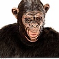 Nieuw2015-2016 Levensecht dierenmasker Chimpansee